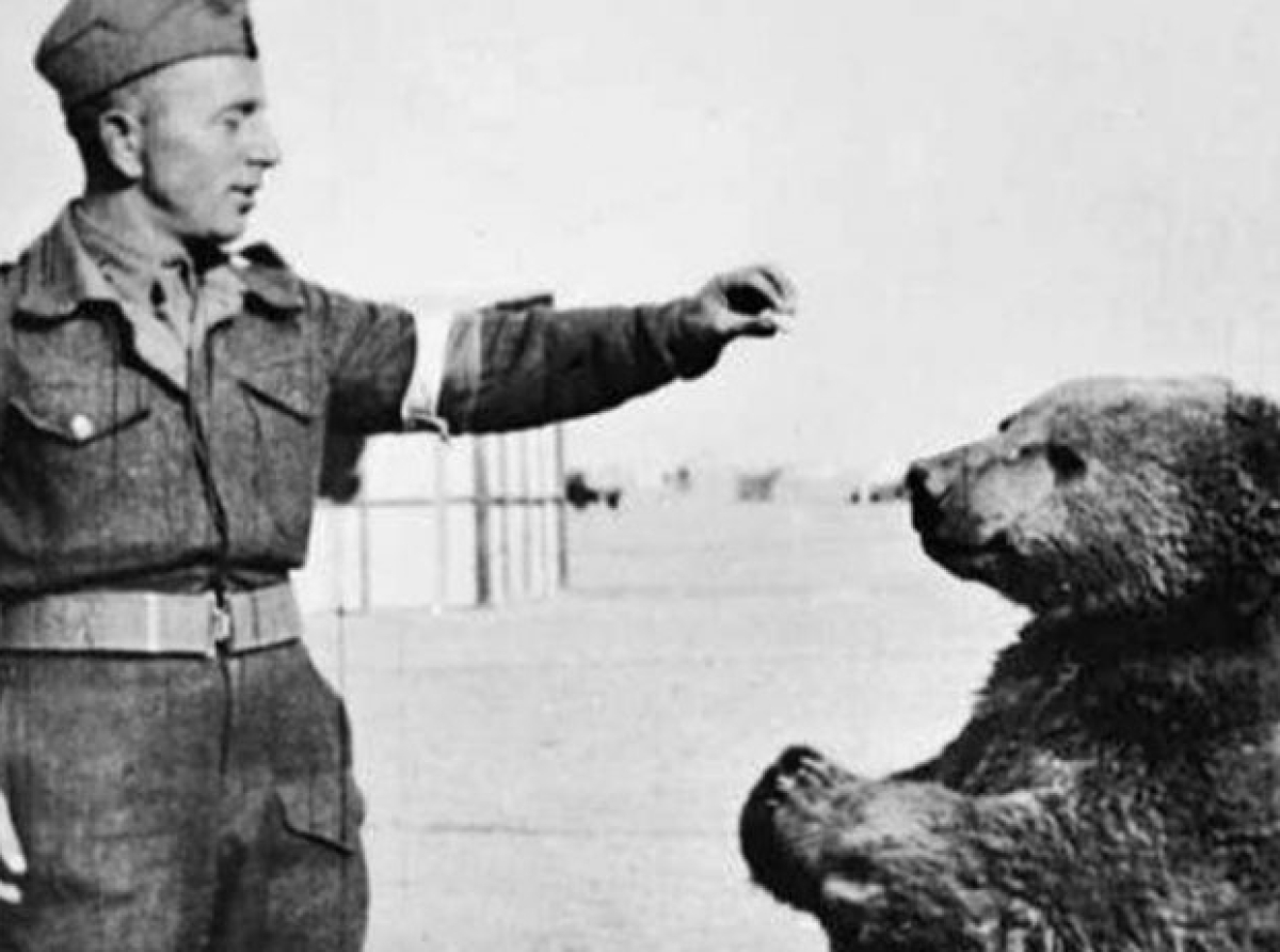 4 πράγματα που δεν ήξερες για το ελληνικό Έπος του ’40-Ήμασταν η τρίτη “υπερδύναμη” της εποχής;