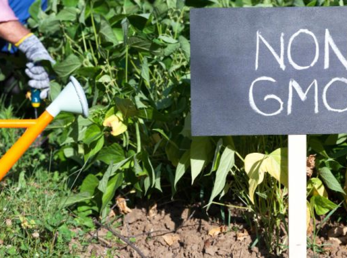 «Μέχρι τον κήπο του σπιτιού σας – Θα εμποδίζουν να καλλιεργείτε το δικό σας φαγητό»!