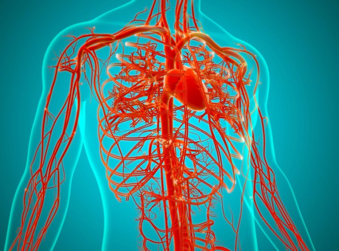 Η No1 κίνηση που μειώνει τη συσσώρευση πλάκας στις αρτηρίες, σύμφωνα με τους καρδιολόγους