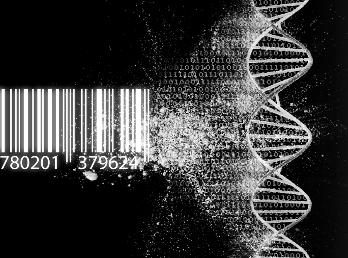 Καταργούνται τα πιστοποιητικά! Με αυτά τα 2 γίνεται η αρχή – Η Ελλάδα… προχωρά (video)