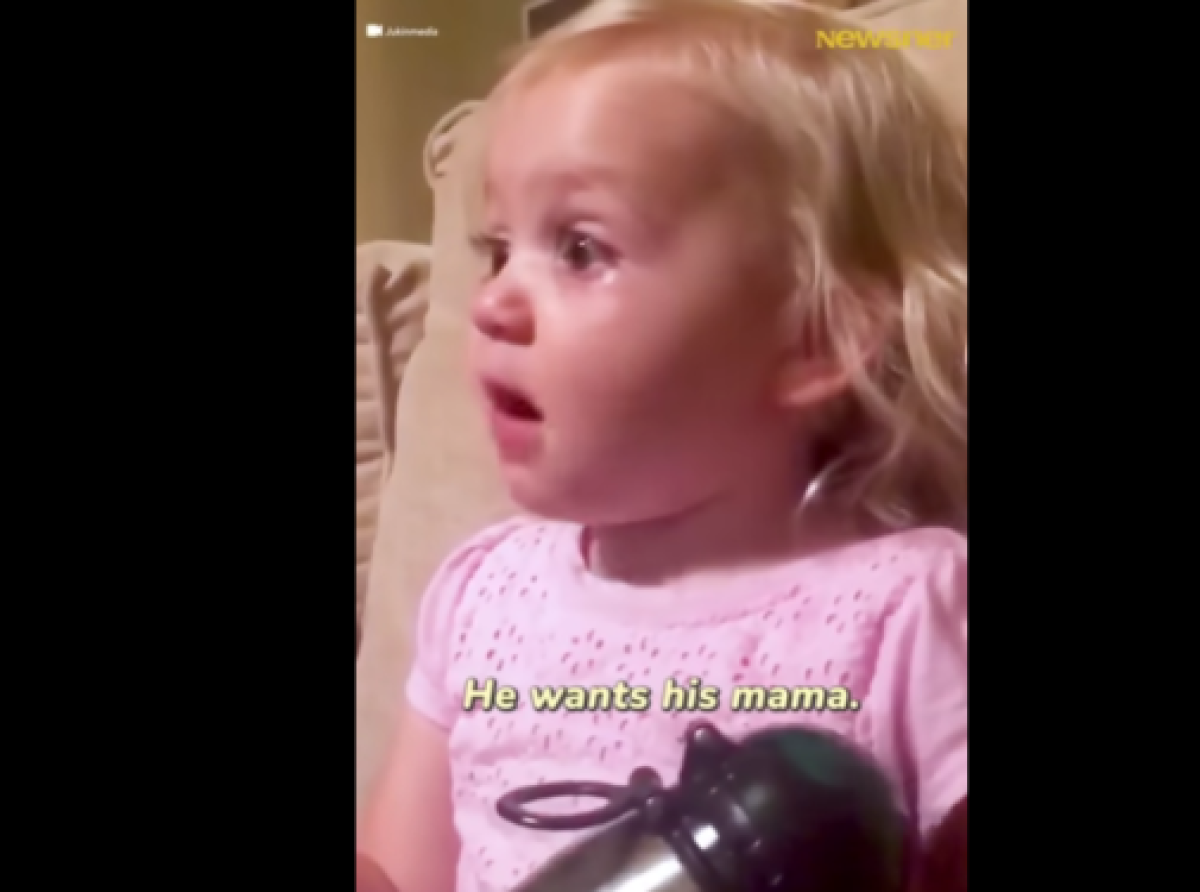 ΑΥΤΟ ΤΟ ΠΑΙΔΙ ΜΑΣ ΔΕΙΧΝΕΙ ΤΟ ΜΕΛΛΟΝ… και δίνει αποστομωτική απάντηση στους LOATKIτζήδες και Σια!