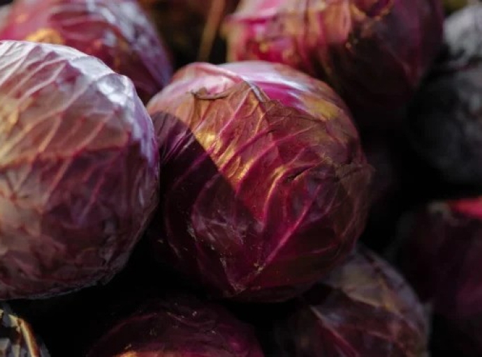 ΤΟ ΜΩΒ ΛΑΧΑΝΟ ΣΤΗΝ ΔΙΑΤΡΟΦΗ ΜΑΣ ΚΑΙ ΟΙ ΙΔΙΟΤΗΤΕΣ ΤΟΥ.