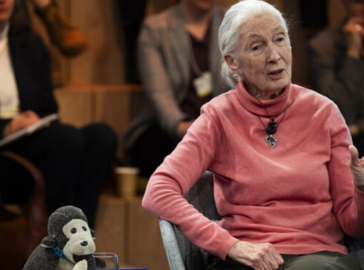 «Εφιάλτης τα 8 δισεκατομμύρια ανθρώπων στον πλανήτη»! Πιο «σατανική» δήλωση δεν γίνεται, vid