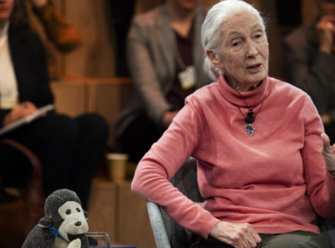 «Εφιάλτης τα 8 δισεκατομμύρια ανθρώπων στον πλανήτη»! Πιο «σατανική» δήλωση δεν γίνεται, vid